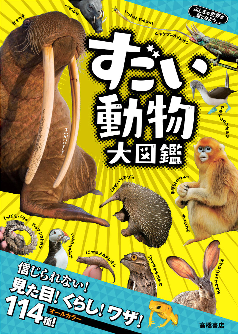 ふしぎな世界を見てみよう すごい動物 大図鑑 高橋書店