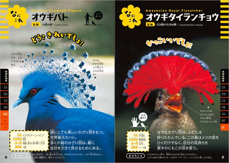 新品未使用正規品 講談社カラー科学大図鑑動物のふしぎ①へんそう②超能力①第3刷昭和58年11月24日②第2刷昭和59年2月24日発行講談社 