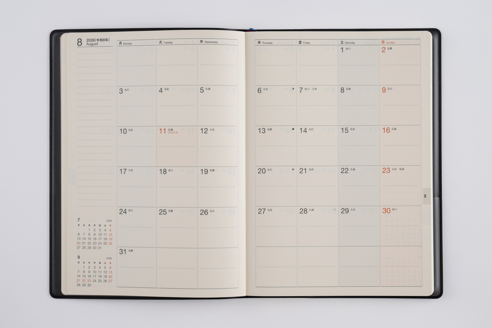 髙本ページ ※10/20頃 No.854] T'beau （ティーズビュー） 3【パイングリーン】