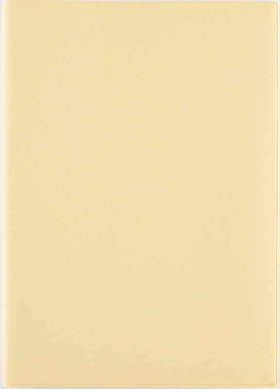 No.542 torinco® 10【バターイエロー】