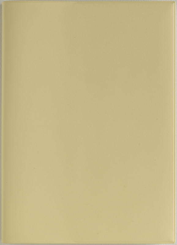 No.742 torinco® 10【バターイエロー】