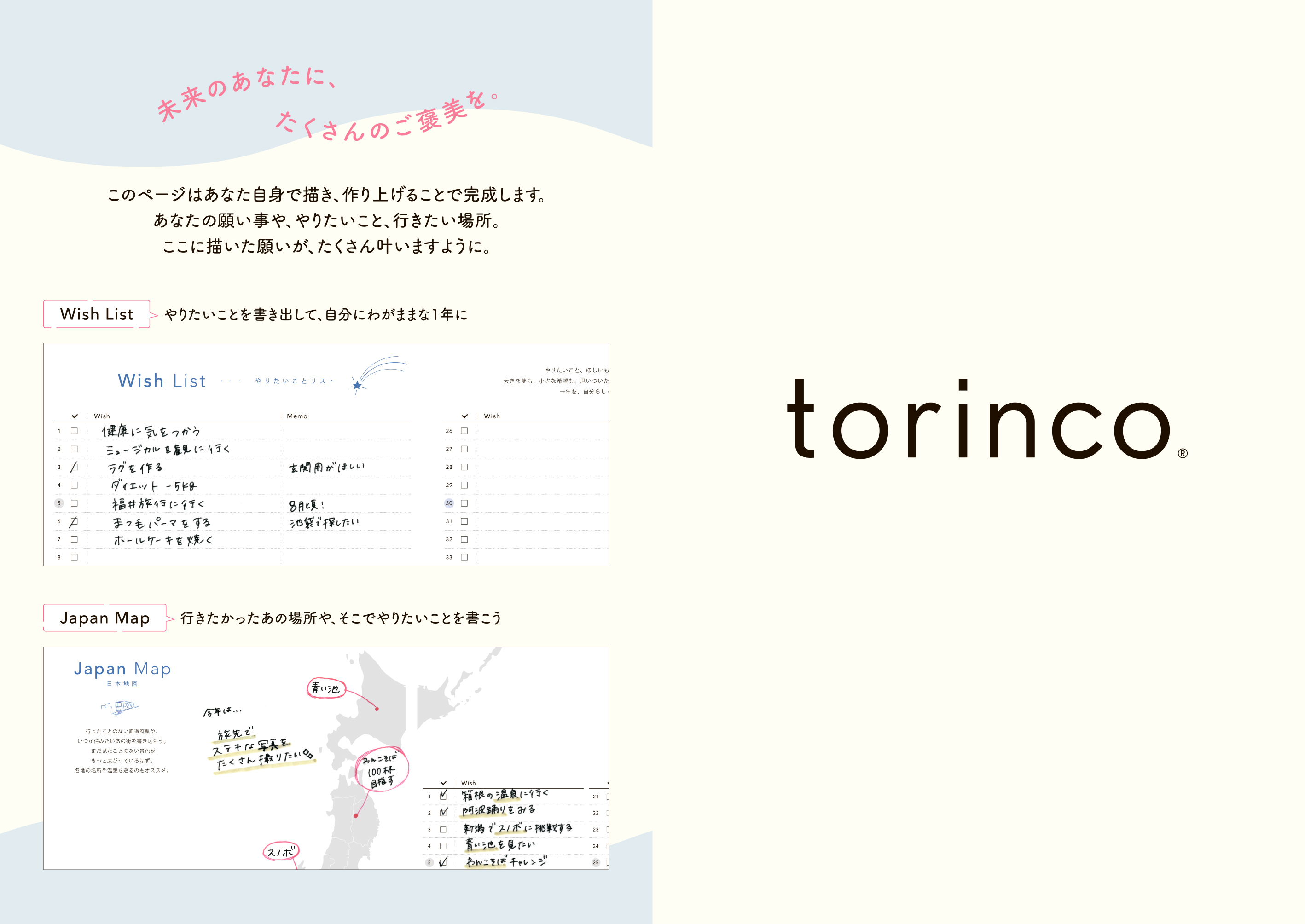 torinco 10 