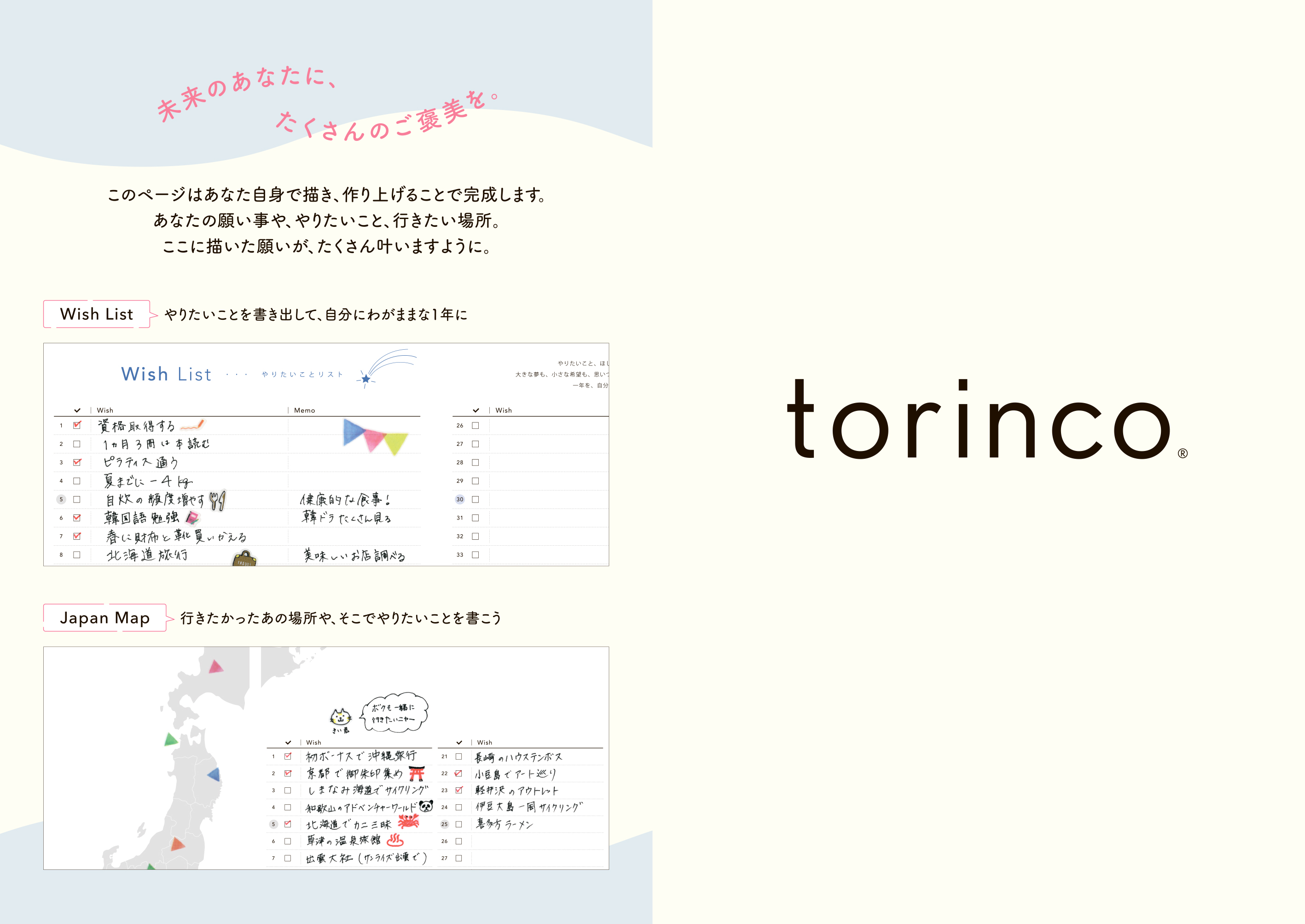 torinco 12 