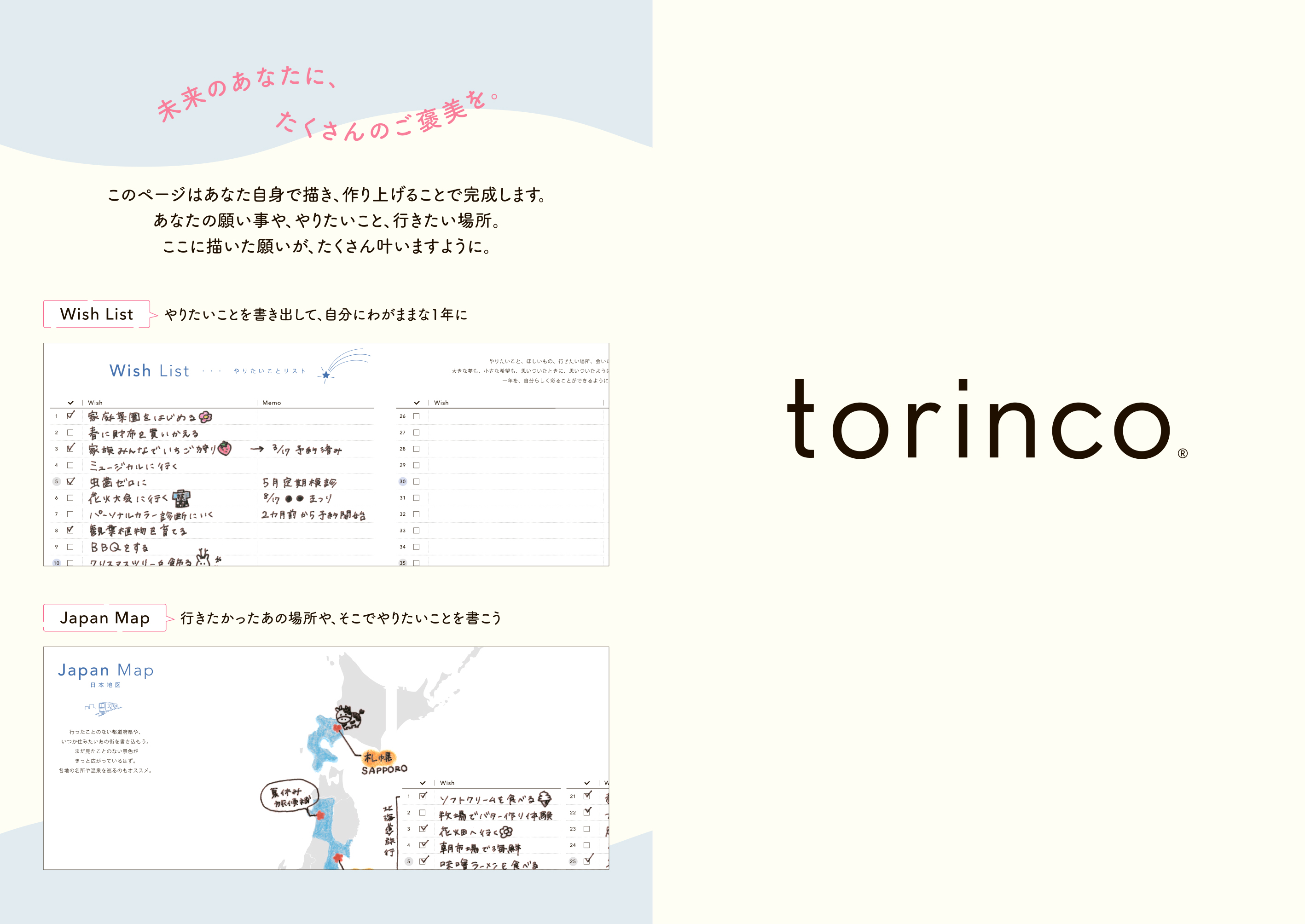 torinco 2 