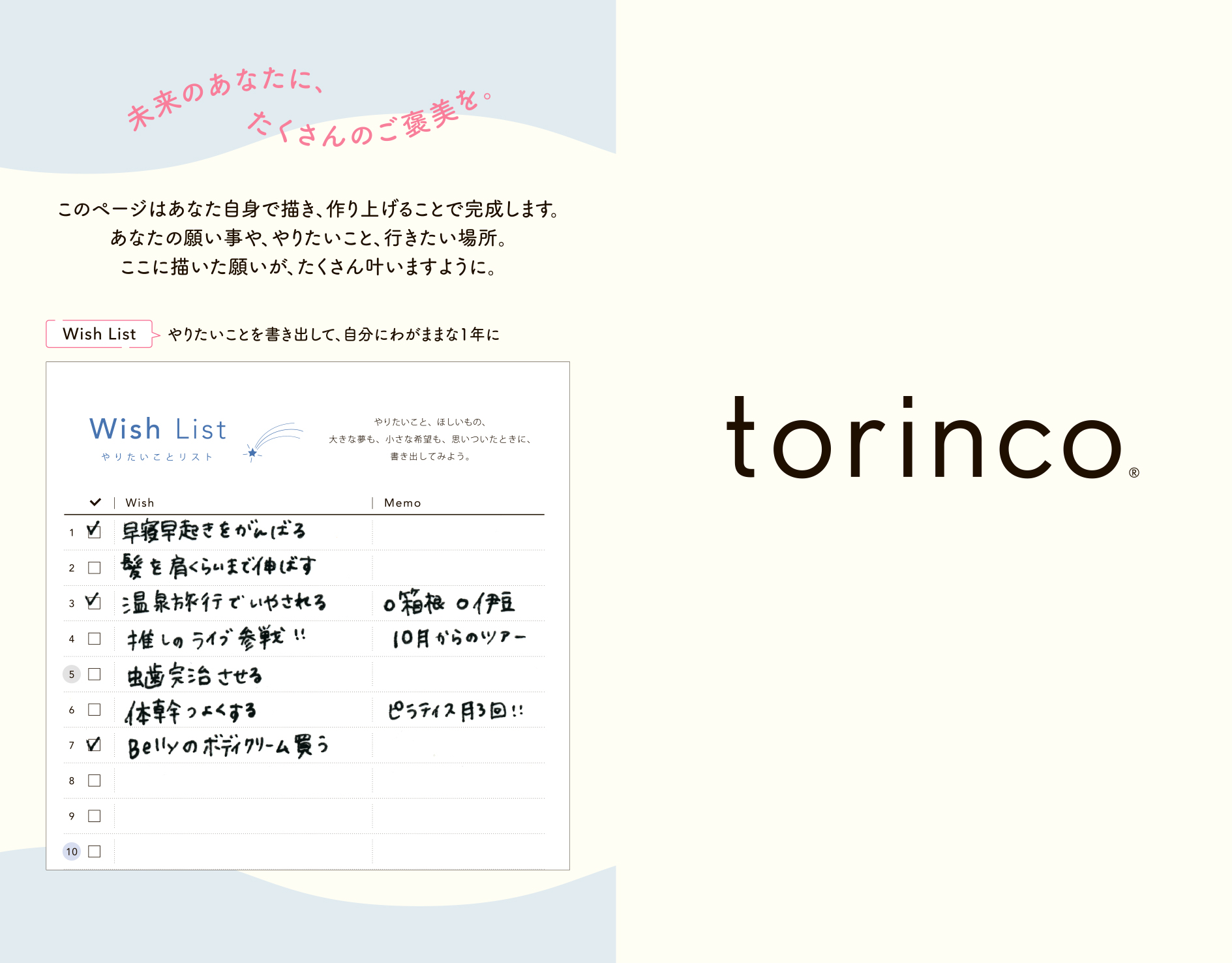 torinco 3 