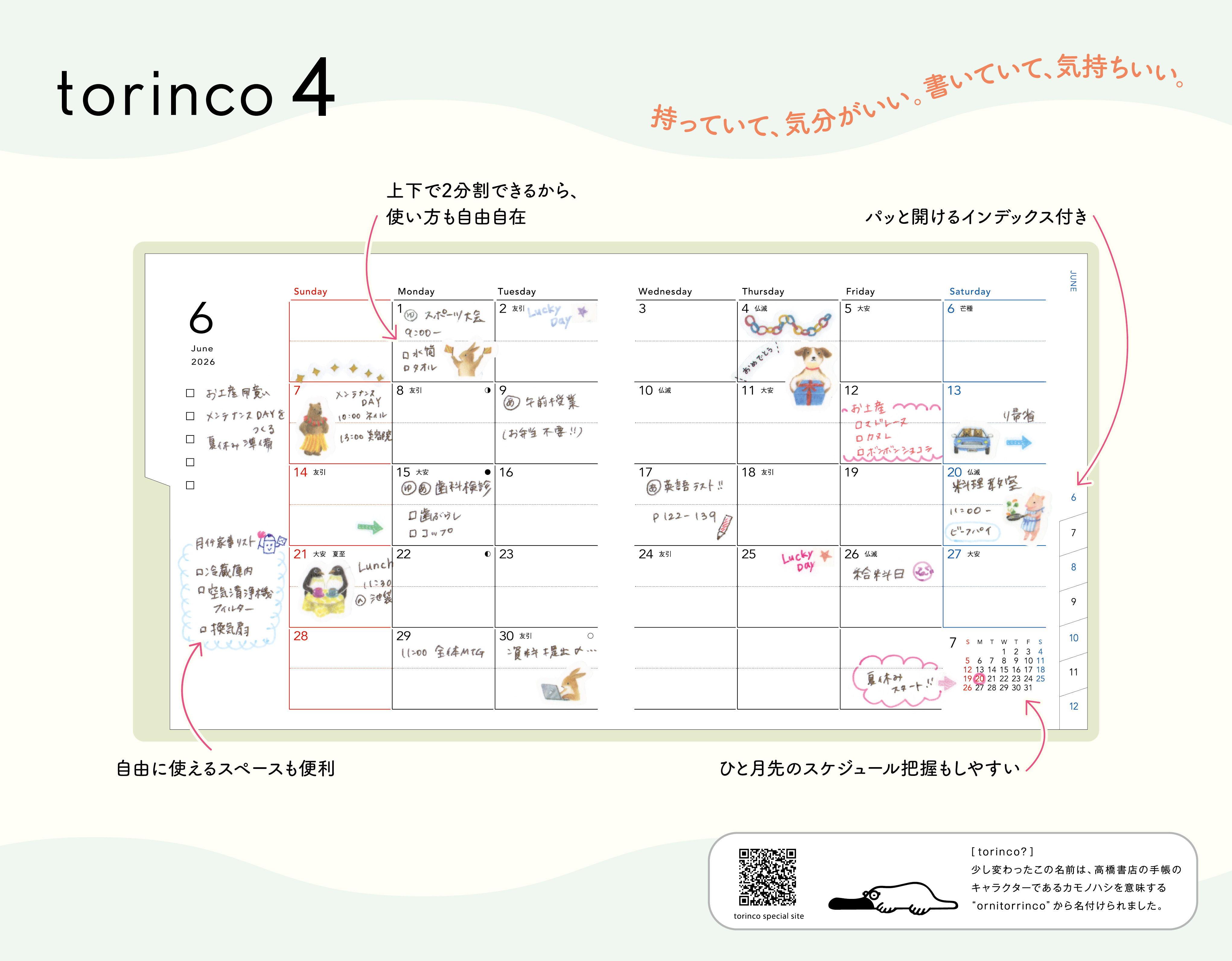 torinco 4 