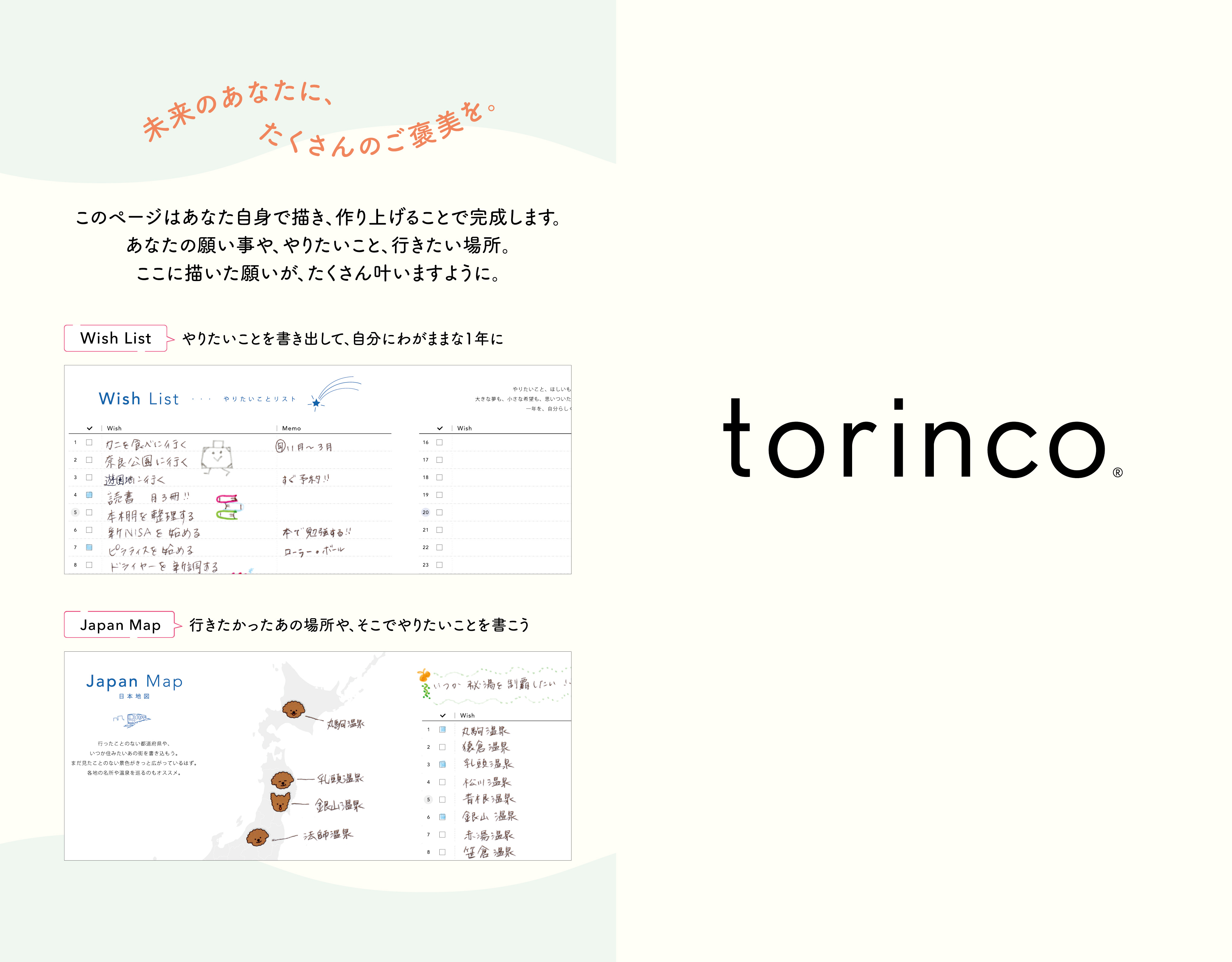 torinco 4 