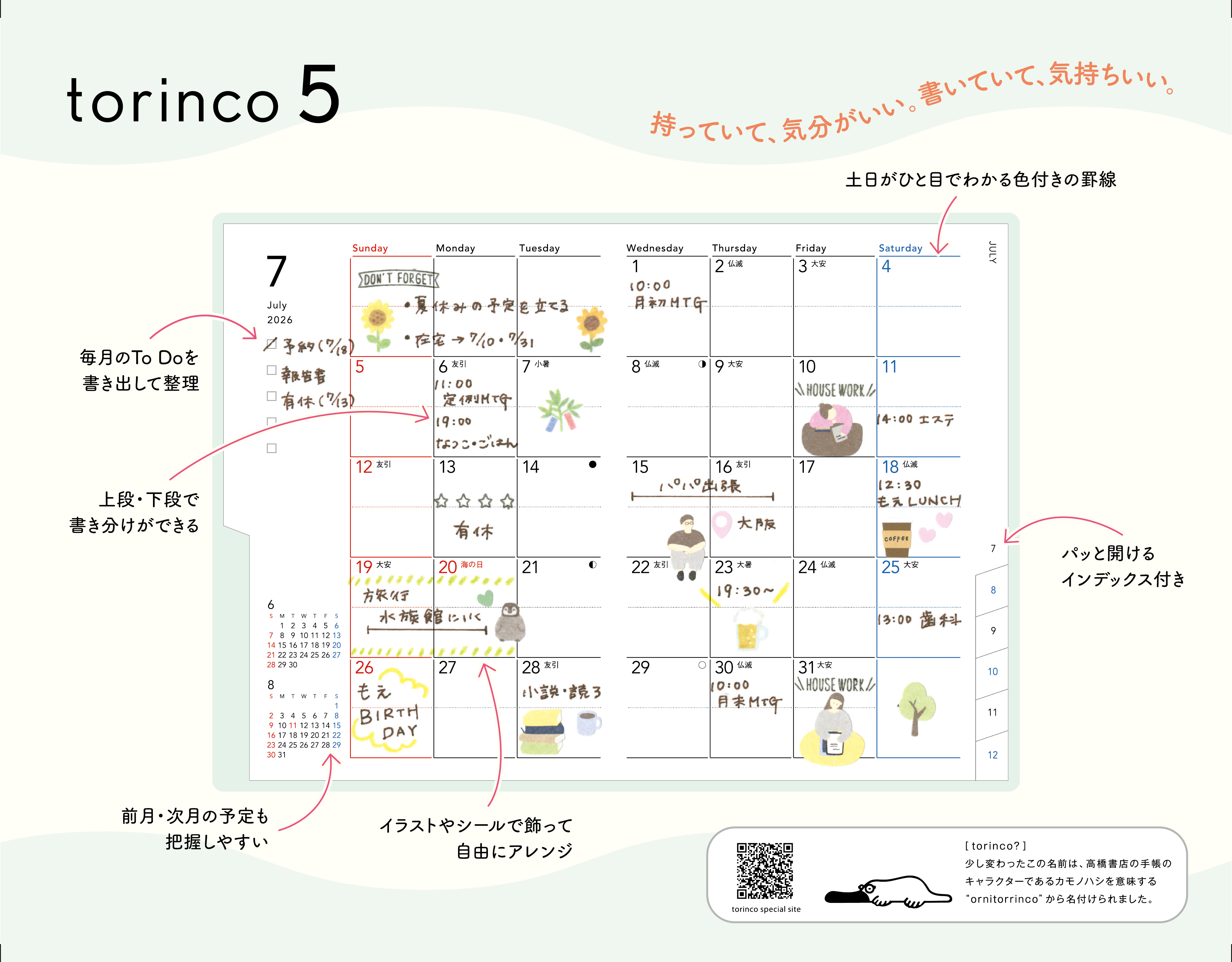torinco 5 
