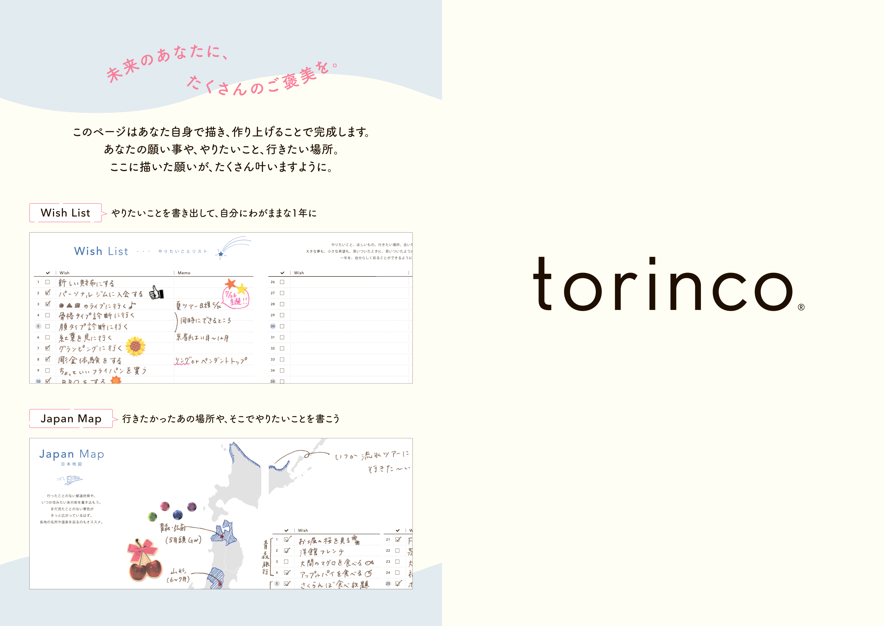 torinco 7 