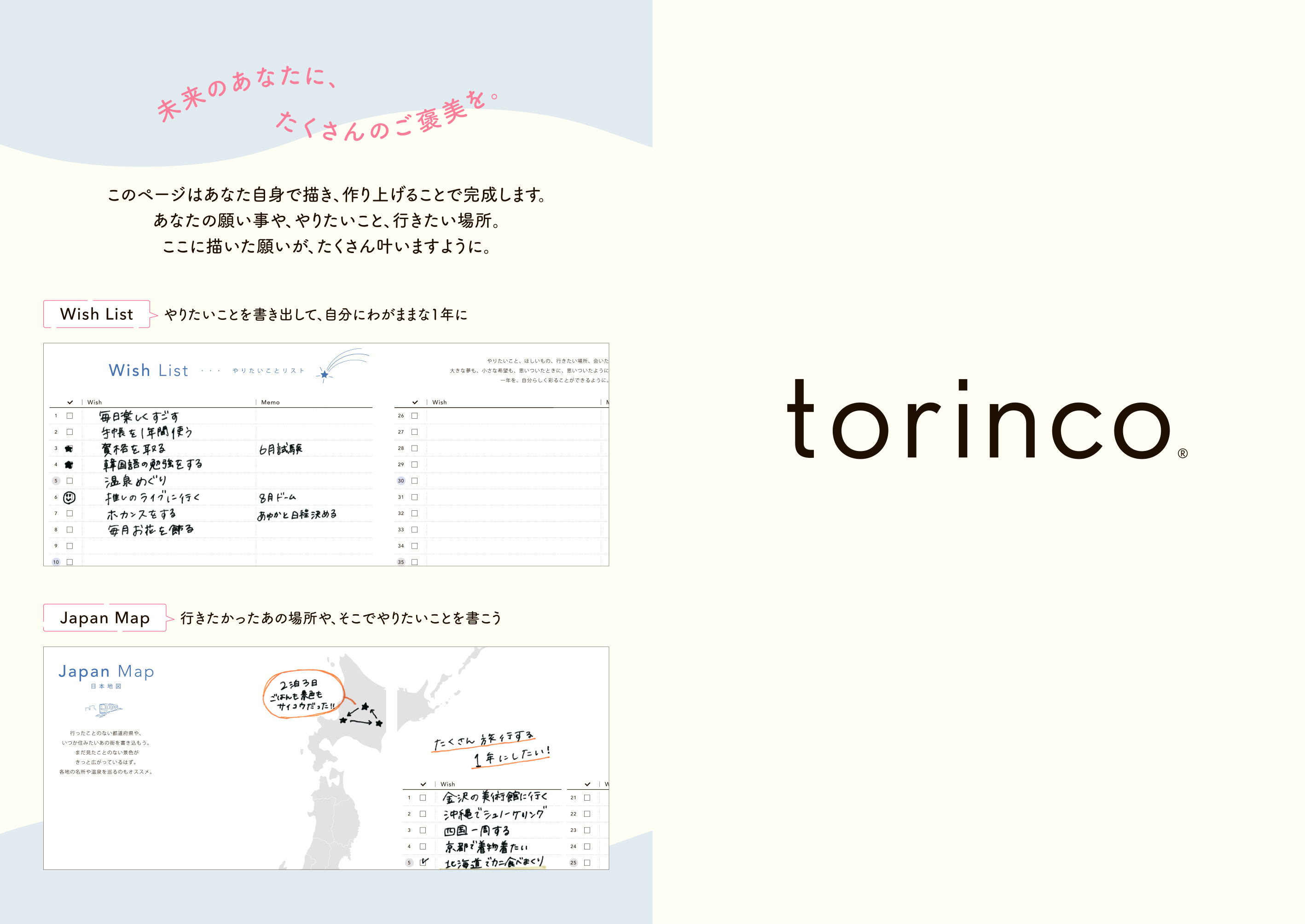 torinco 8 