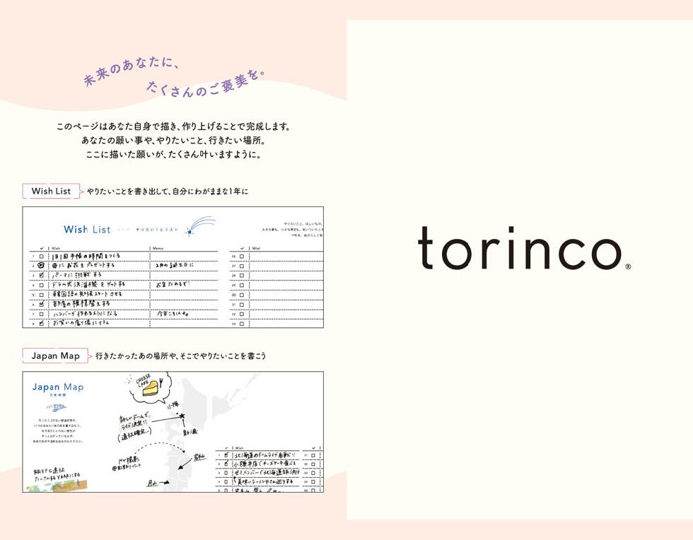torinco 9 