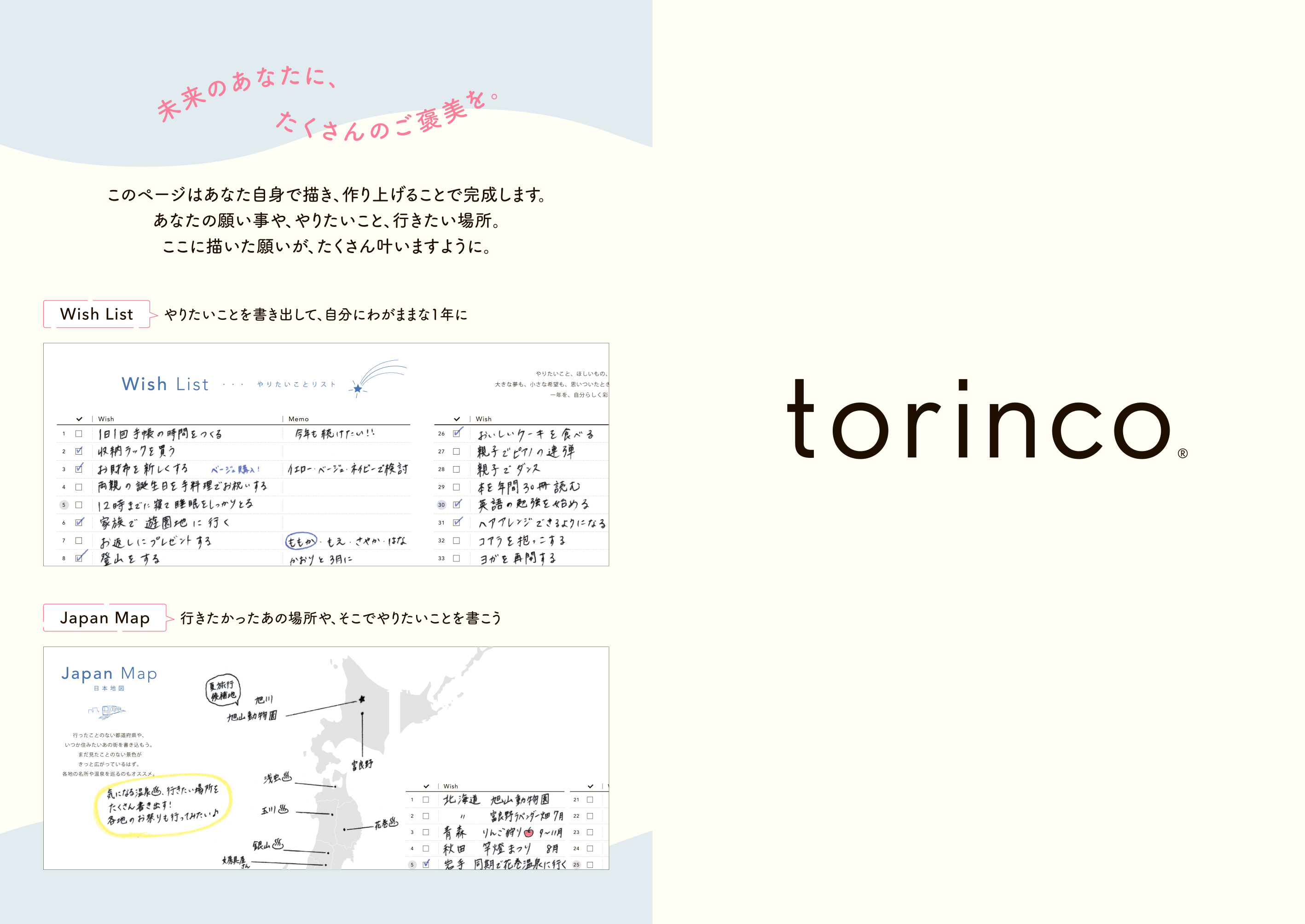 torinco 9 