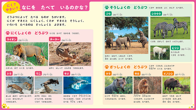 特集ページで、動物のことがもっと知れる！