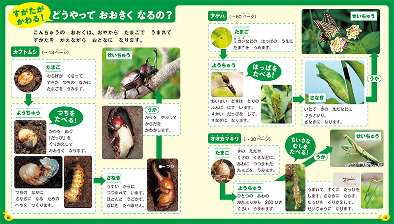 特集ページで、昆虫のことがもっと知れる！