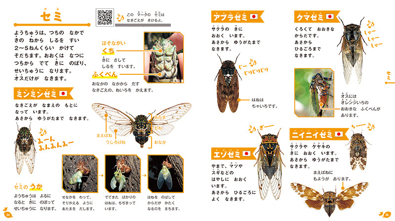 中国の昆虫文献を調べる重要な文献目録集4冊セット