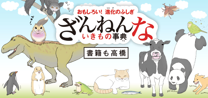 おもしろい！進化のふしぎ　ざんねんないきもの事典