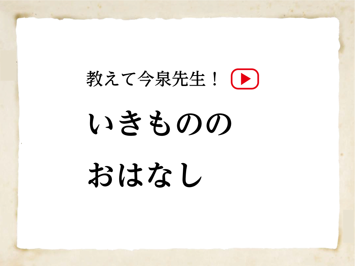 呪物】人生を変革してくれる霊猫「板火（バンビ）」の宿る