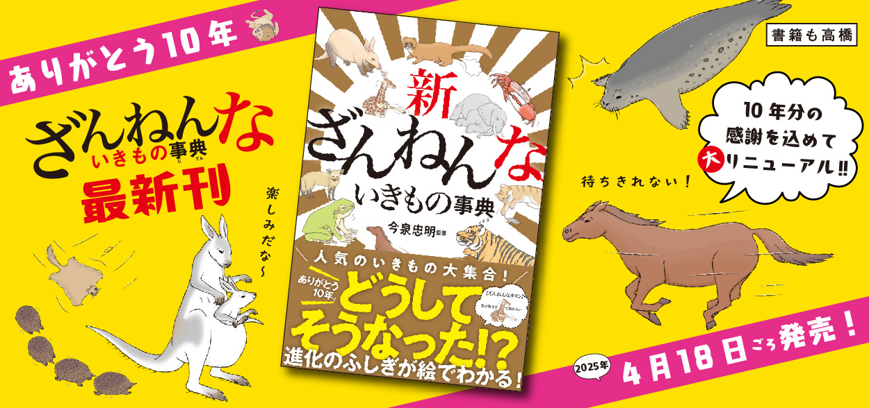 新刊告知