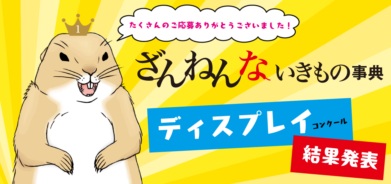 ディスプレイコンクール　結果発表