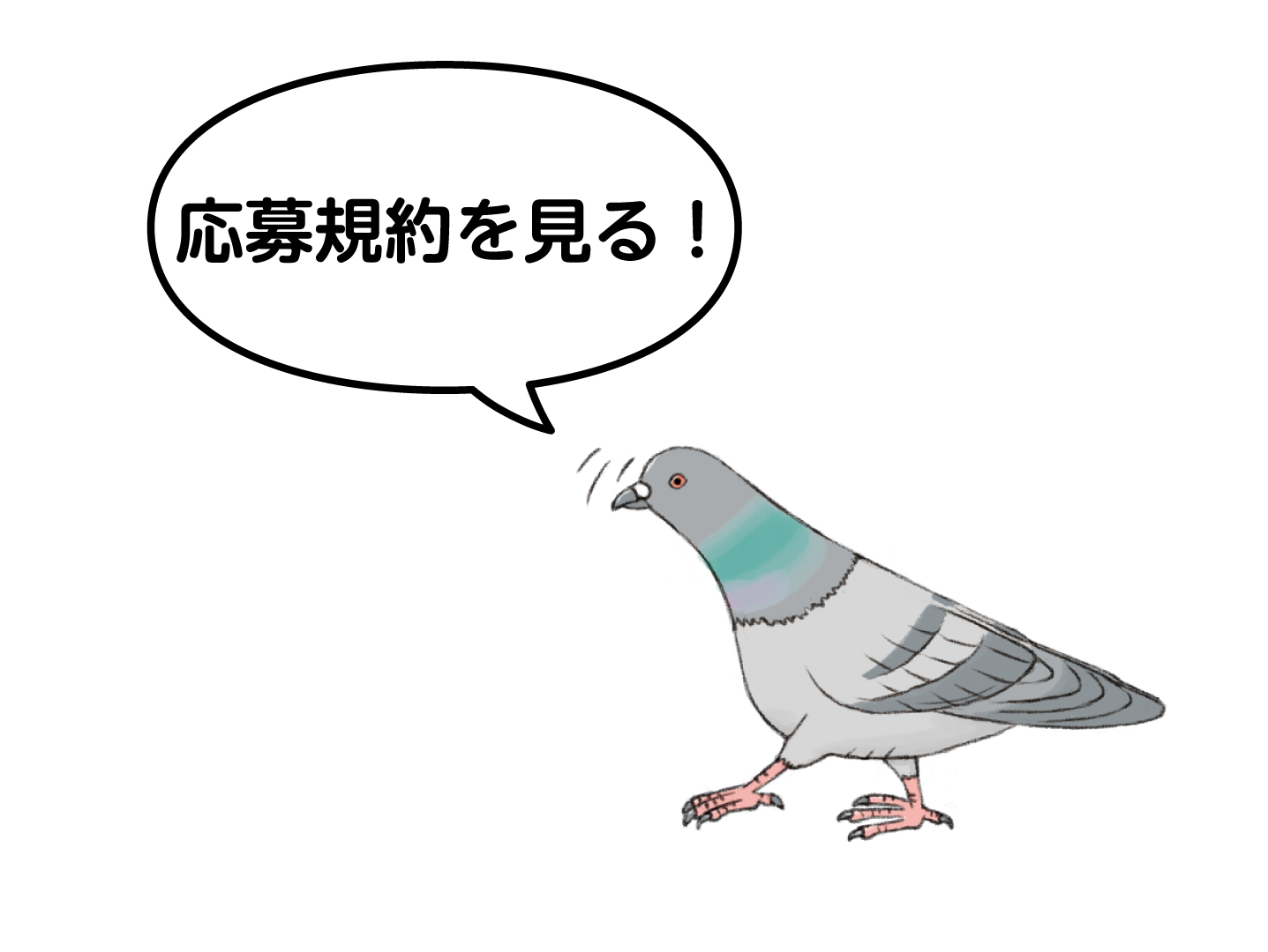 応募規約を見る