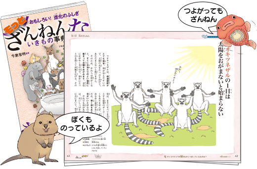 もっと ざんねんないきもの事典
