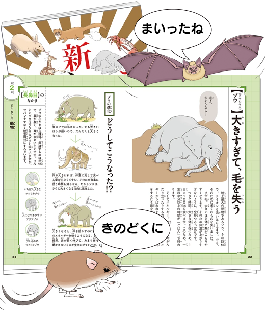 新ざんねんないきもの事典