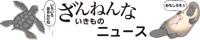 ざんなんないきものニュース