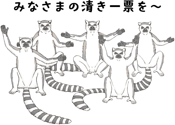 手を上げてみなさまの清き一票を〜と言っているワオキツネザルのイラスト