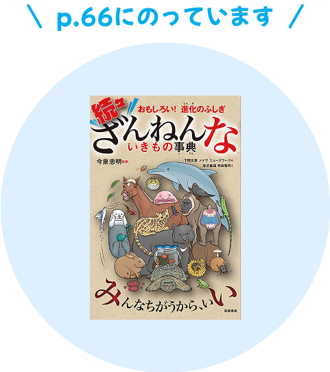 続々ざんねんないきもの事典 66ページにのっています