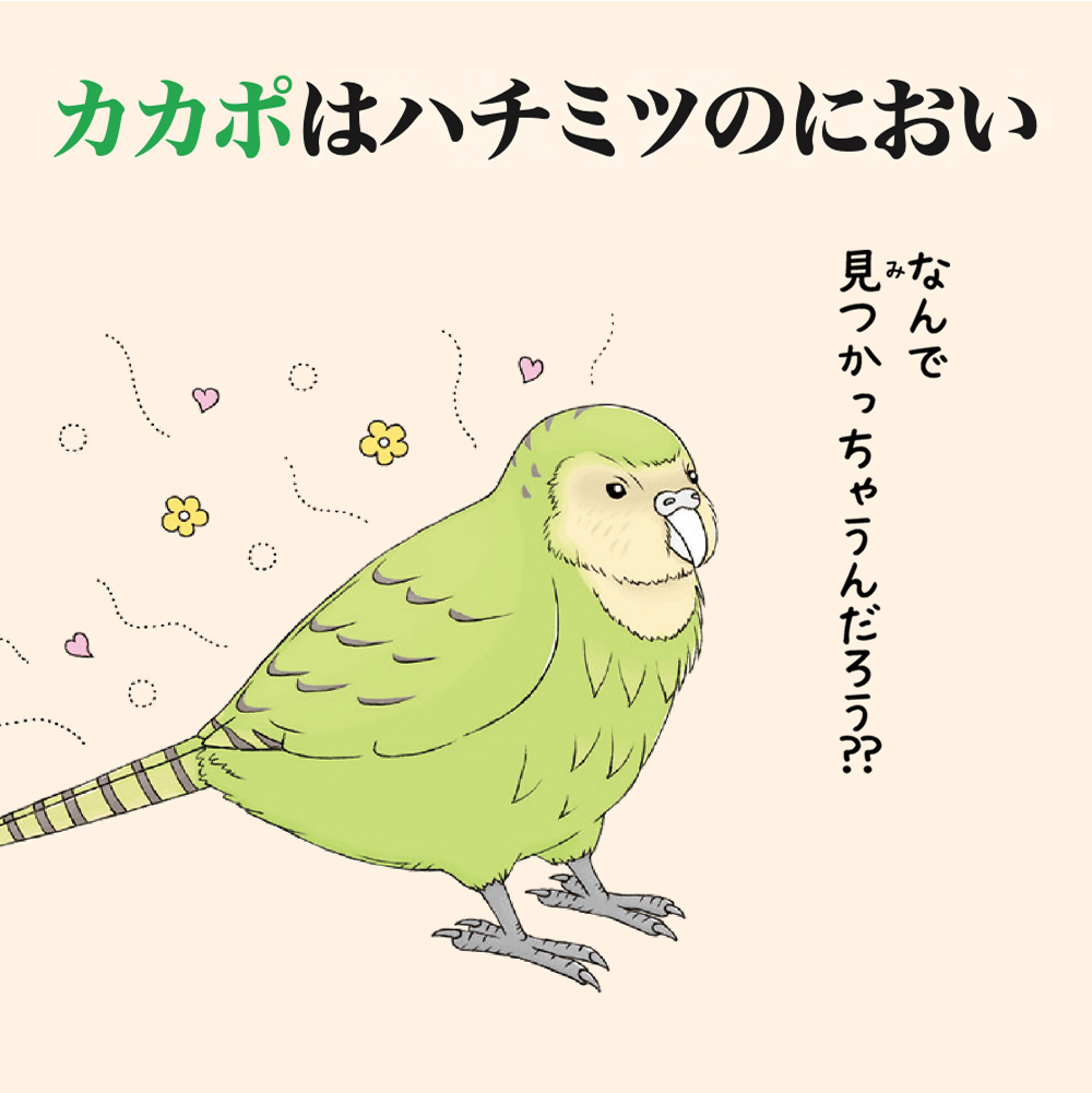 カカポはハチミツのにおい