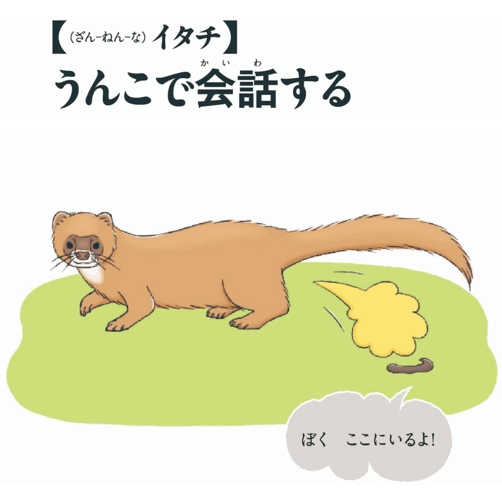 【（ざん-ねん-な）イタチ】うんこで会話する