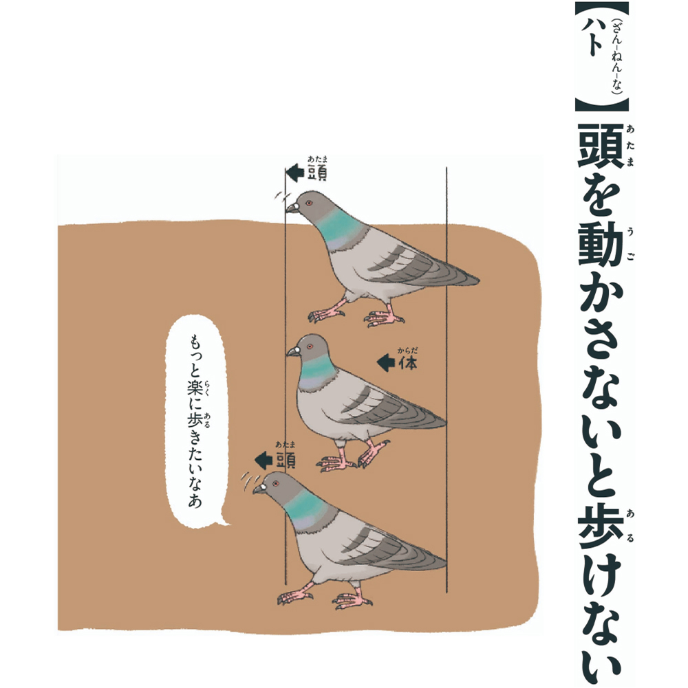 【（ざん-ねん-な）ハト】頭を動かさないと歩けない