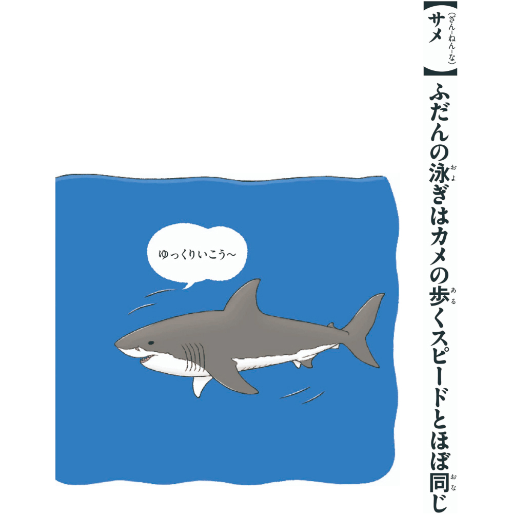 【（ざん-ねん-な）サメ】ふだんの泳ぎはカメの歩くスピードとほぼ同じ