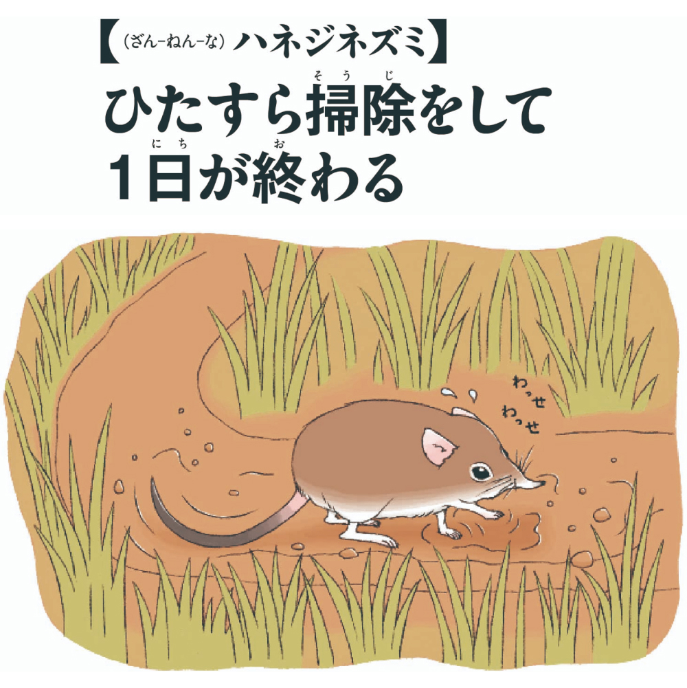 【（ざん-ねん-な）ハネジネズミ】ひたすら掃除をして1日が終わる